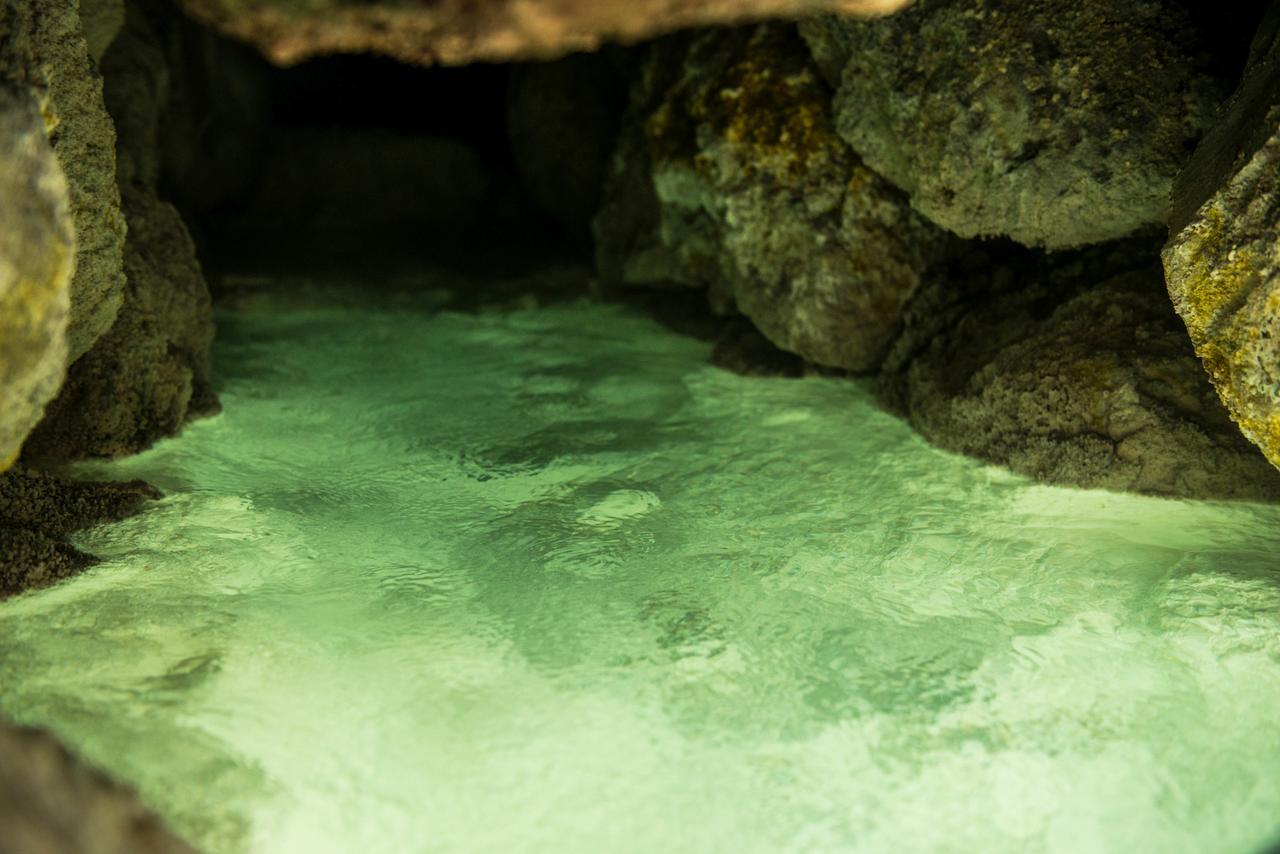 Takamiya Ryokan Miyamaso Yamagata  Ngoại thất bức ảnh